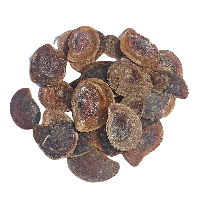 500g Natural Incense Whole Seashell Onycha for Sale