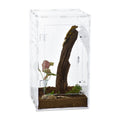 Modern Crystal-Clear Acrylic Reptile Terrarium Breathable Enclosure for Observing Your Pets Classic Style in Box Packaging