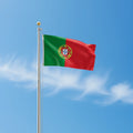 The Factory Wholesales Flags in Various Sizes Custom 3x5ft National Flag