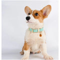 Leather Dog Collar Adjustable Soft Breathable Leather Padded Puppy Collar Dog Training Collar with Alloy Buckle Custom Logo
