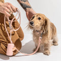 2026 PVC 3m Conjunto De Arnes Y Correa Completa De Perro Grandes Correas Para Mascota Pet Harnesses Set