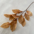 Multicolor-Light Coffee Modern Style Artificial Flower Wedding Decoration Pomelo Leaf
