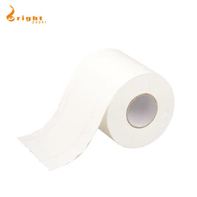 2025 Chinese Cheap 100% Virgin Wood Pulp Ultra Soft Eco-Friendly Funny Charming Korea Australia Flushable Fast Dissolving Toilet