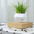 HCNT Magnetic Floating Levitating Flower Pot Modern ABS Plastic Home & Garden Decor with Artificial Flowers