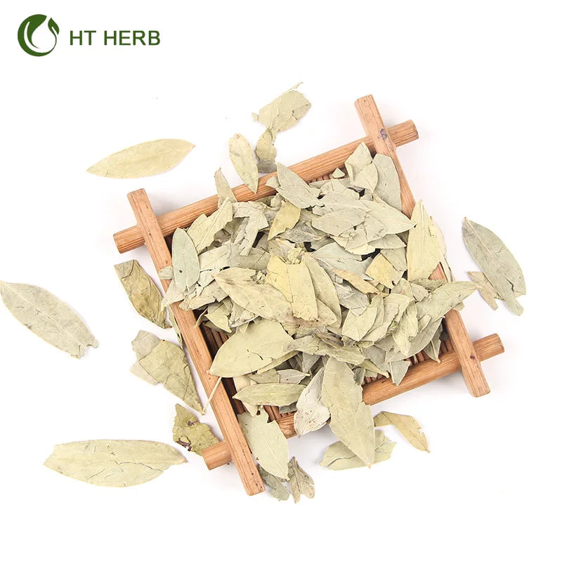 Factory Supply Wholesale Dried Senna Leaf  Pure Natural Dried Senna Leaves Herbal Tea For Slimming