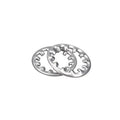 Stainless Steel Zinc Plated Split Internal Teeth Serrated Lock Washers DIN6798