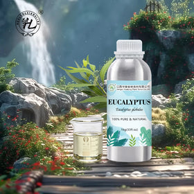 Nilgiri Eucalyptus Essential Oil Organic - 100% Pure Natural Indian Eucalyptus Globulus Leaf Steam Distilled | Bulk Price 1kg