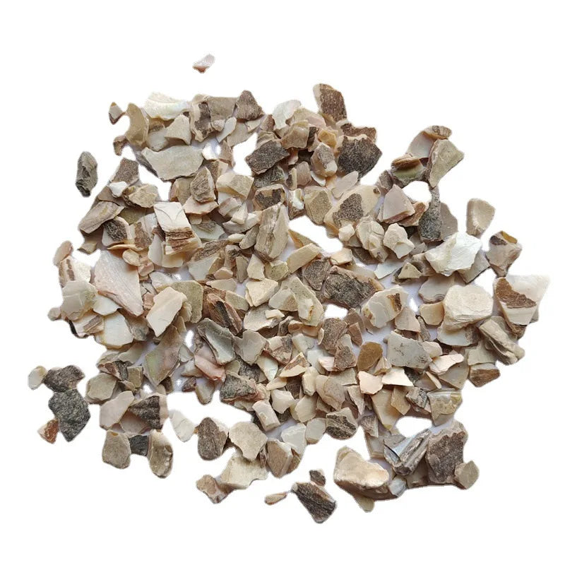 Zhen Zhu Mu Natural Dried Hyriopsis Cumingii Shells Margaritifera Concha Cuts for Herb