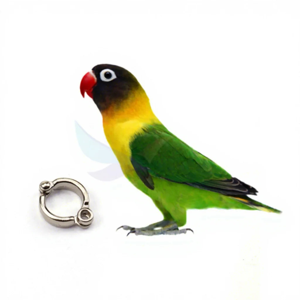 Wholesale 2023 Cheap Inner 3.5mm 4.5mm 5.5mm 6.5mm 7.5mm 8.5mm 9.5mm 11.5mm 14.5mm Alloy Canary Parrot Bird Pigeon Foot Leg Ring