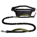 Best Seller Adjustable Nylon Waist Belt Dog Leash Quick Release Hands-Free with Shock Absorption for Running