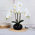 Nordic Simulation Plant Long Branch Phalaenopsis Orchid Potted for Home Living Room Decoration Flowers