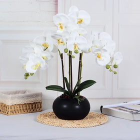 Nordic Artificial Plant Long Branch Real Touch Phalaenopsis Orchid Potted for Home Living Room Decoration Flowers