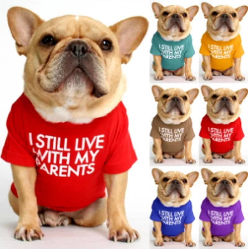Designer Fashion Cotton Dog Apparel for Small Medium Teddy Dogs Wholesale Summer Thin Shirt Printed Pattern for Spring Season