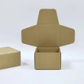 Biodegradable Natural Sustainable Solutions Biodegradable Box Creative Environmentally Friendly Recycled Paper Packaging