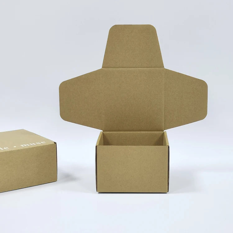 Biodegradable Natural Sustainable Solutions Biodegradable Box Creative Environmentally Friendly Recycled Paper Packaging