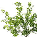 Artificial Locust Leaf Branch Plastic Real Touch Green Plants Long Stem Greenery for Valentine's Day Home Table Decoration