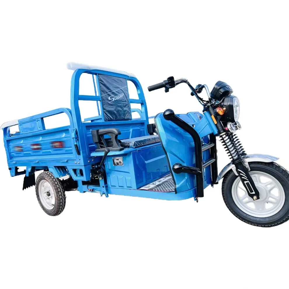 Steel Enclosed Solar Electric Tricycle with Cabin Three-Wheel Electric Bike for Sale