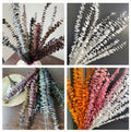 China Supplier's Natural Eucalyptus Leaf Decoration Preserved Round Foliage 60cm Home & Wedding Decor in Bags MegaBDM