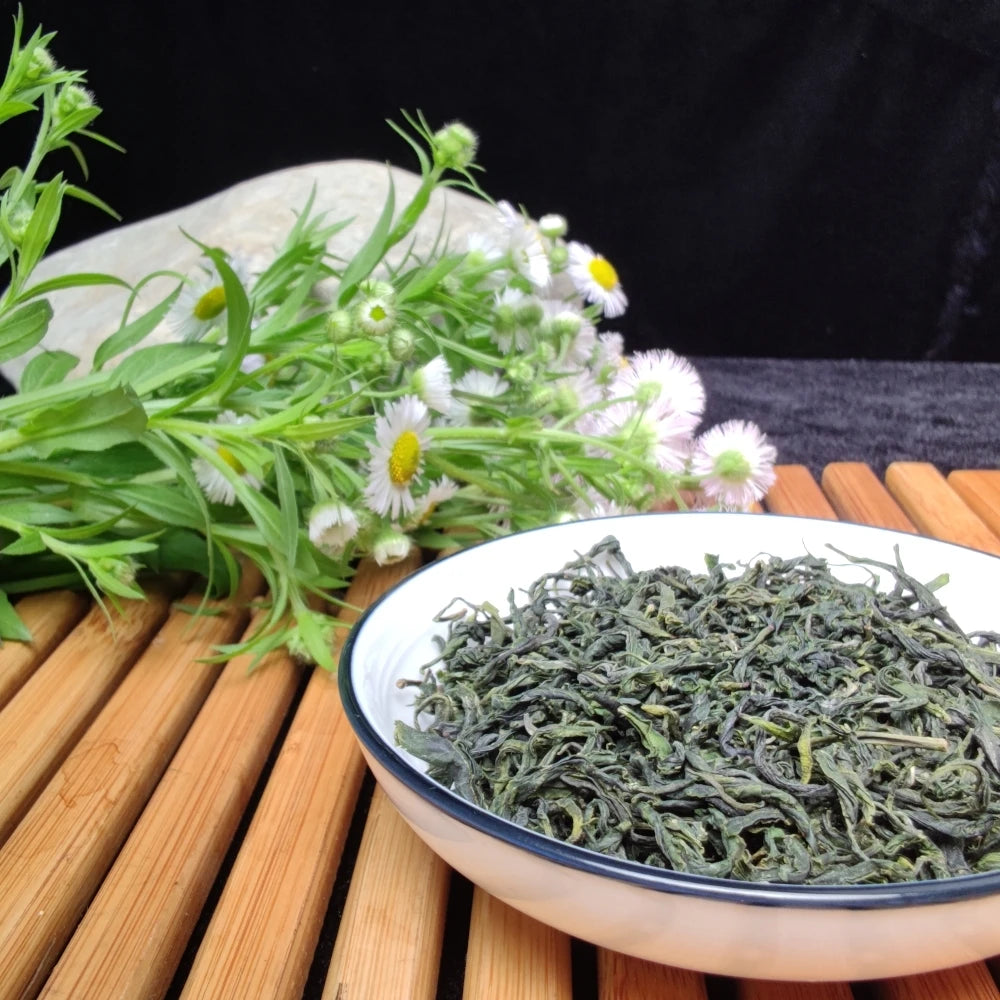 China Manufacturer Spring New Season Factory Green Tea With Cheap Price
