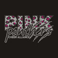 Pink Panthers Letters Design Bling Star Heart Rhinestone Iron on Transfer Design Custom Hotfix Motif