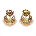 Traditional Alloy Material Kashmiri Jhumka Peacock Fan Shape Earrings India Hoop Jewelry Indian Earring