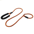 Classic Style Nylon Fabric Reflective  Dog Leash with Print Pattern for Small & Medium Breeds Personalized Non-Slip Durable