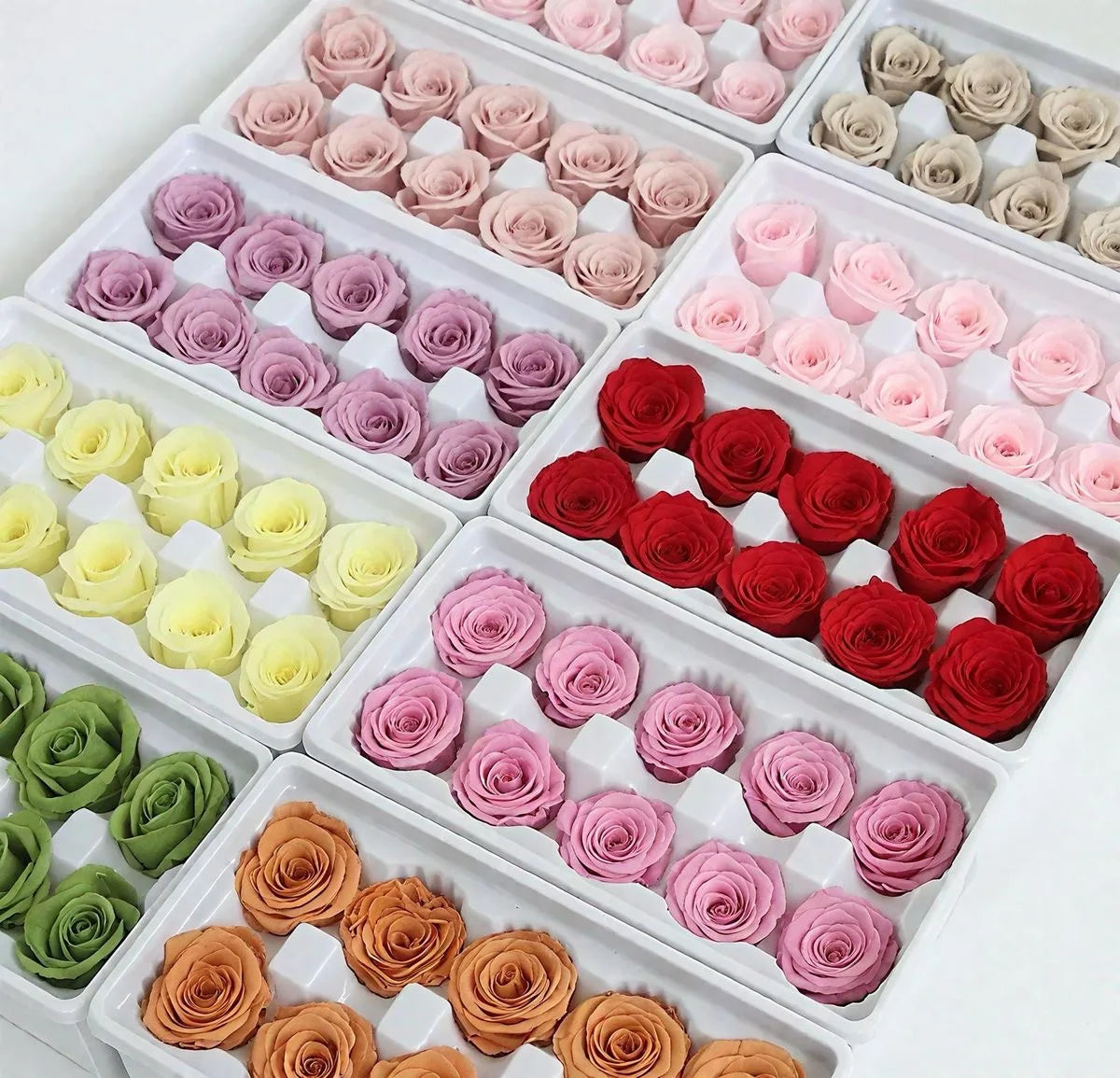 Kunming Floral Factory Supply Long Lasting Real Preserved Rose Head Eternal Roses Head DIY Flower Material