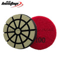 Customizable 3 Inch Ceramic Bond Concrete Floor Grinding Pads OEM Supported Abrasive Type 30#-400# Grit Dry/Wet Use Hook Loop