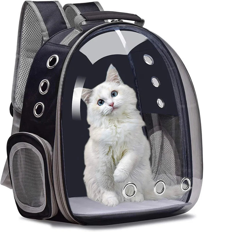 Wholesale ABS Transparent Ventilate Cat Bubble Pets Outdoor Backpack Portable Pet Travel Carrier for Cats and Dogs