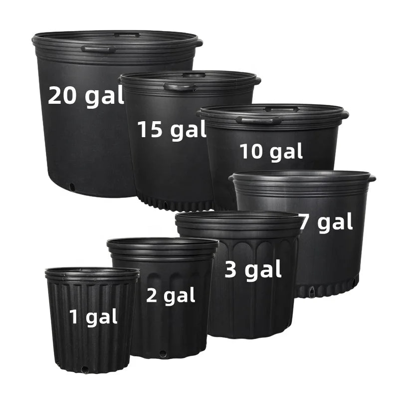 HUAJIN 1 -25 Gallon All Sizes Biodegradable Nursery Pots Blow Injection Molding Black HDPE PP Plastic for Plants