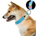New Arrive Soft Print Flashing Glow Night Walking Reflective Cotton Pet Collar Led Light Safety Dog Collar