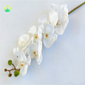 Phalaenopsis Orchid Artificial Branches Real Touch PU Flowers 80cm Spring Lmd Brand for Home Office Wedding Decoration