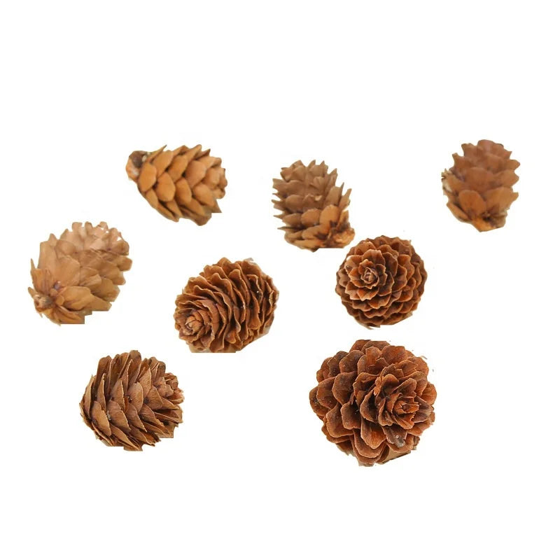Hot Selling 1-2cm Pine Flower Pine Cone Christmas Ornaments Pendant Creative Decoration Props