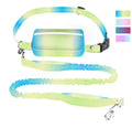 New Arrival Multifunction Gradient Style Reflective Nylon Adjustable Bungee Leashes Hands Free Pet Dog Leash With Waist Belt