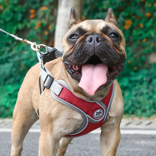 Wholesale No Pull Dog Pet Harness Adjustable Control Reflective Vest Harness Accessories