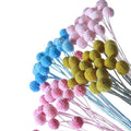 Natural Preserved Golden Ball Flower Craspedia Billy Balls Handmade for Valentine's Day Christmas & Graduation Decor