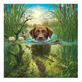 Ever Moment Diamond Painting Dog Swim River Grass Fish Handmade Full Square Resin Stone 3F2221