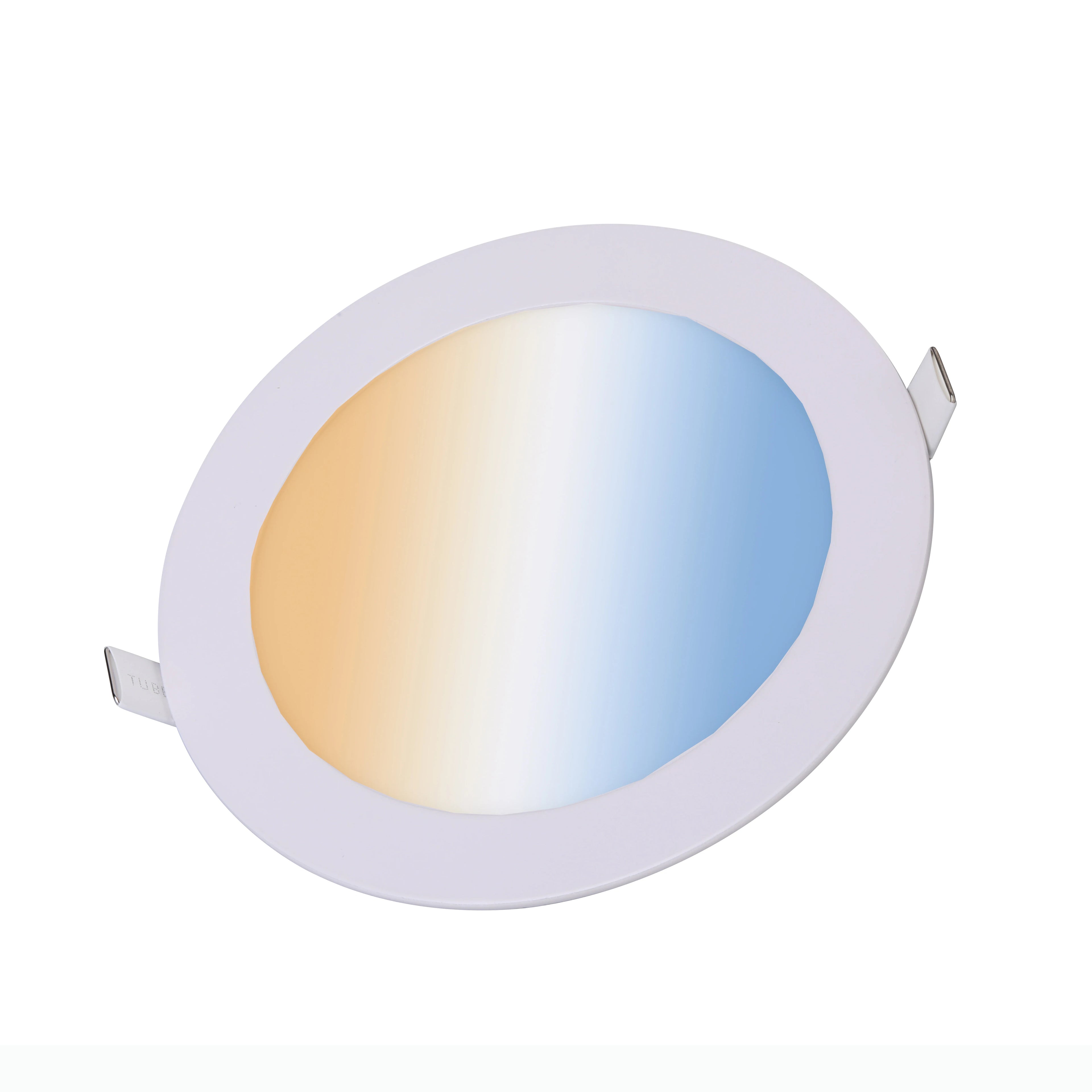 Benory DC 24V Tunable White Dualwhite 2000-6000k Round Panel Light Compatible with Loxone Dali Dt8 PWM Knx Cansambi Smart Home