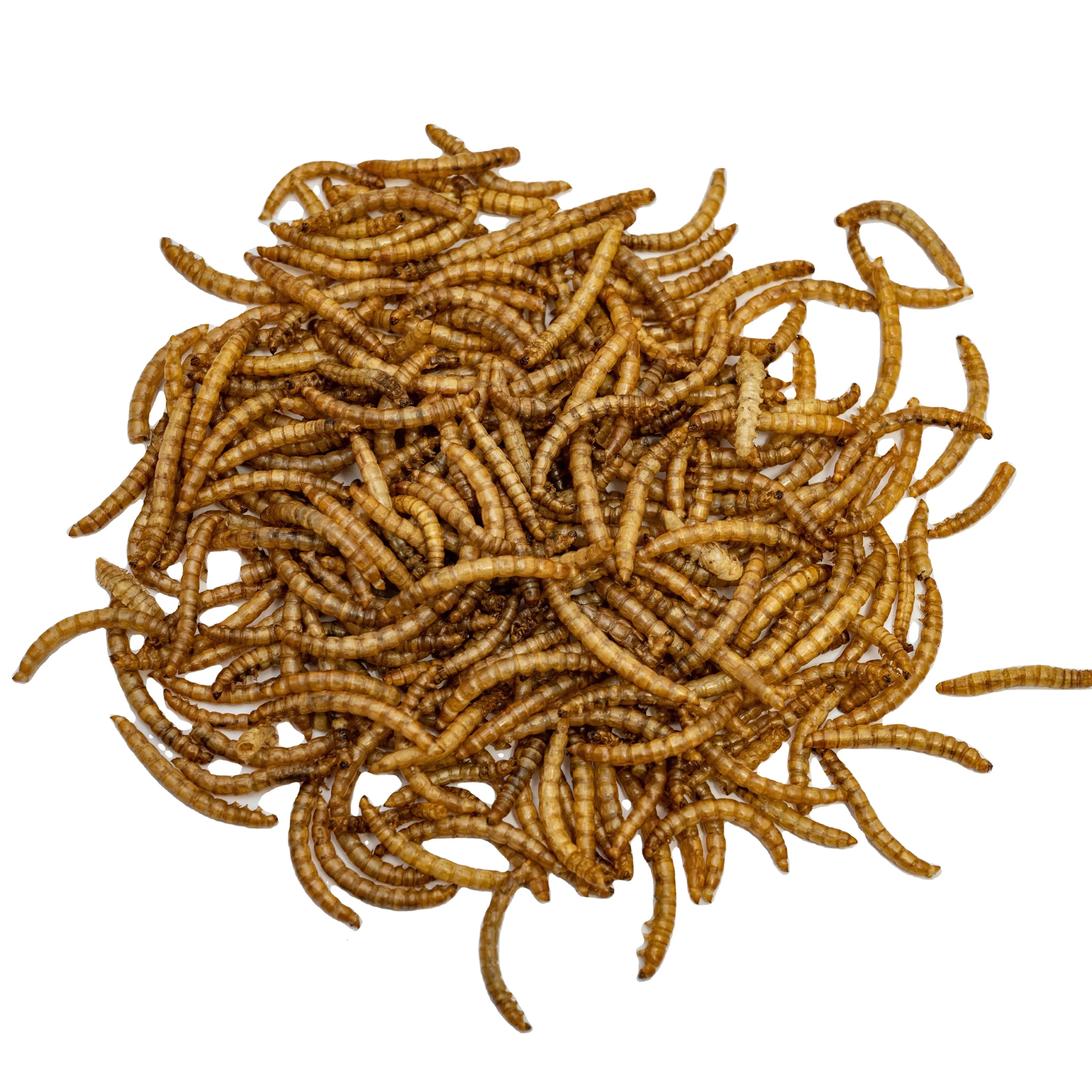 100% Natural Dried Mealworms for Pet Food