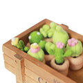 Handmade Wool Felted DIY Artificial Succulents Kit Novelty Gifts for Home Decor and Crafts Fake Cactus Craft Supplies As Gift