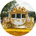 OEM Customized Horse Drawn Carriage Classical Soft Seat Sightseeing Europe Royal Electric Horse Carriage