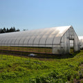 Single Span PE Film Greenhouse with Galvanized Steel Frame Low-Cost PVC Material PVC Shed for Farms for Agriculture