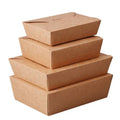Kraft Paper Fast Food Packaging Box Custom Size & Shape 1600ml 337g Biodegradable Disposable Luxury Camping & Food Catering Use