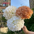 DC211 Good Quality Fake Flower Florist Wholesale Single White Hydrangea Artificial Flower for Wedding Centerpieces Decor