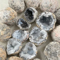 Wholesale Natural Crystals Healing Stone Rough Agate Raw Crystal Agate Cornucopia Agate Crystal Geode
