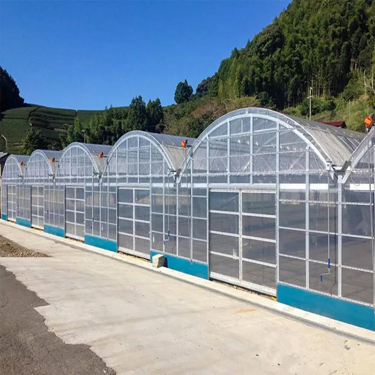 Skyplant SP-S-6 PE Cover Multi-Span Agricultural Greenhouse for Organic Farming and Plant Production Jiangsu Origin