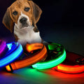 Premium Features Collar De Corazon De Tenis De Plata Esterlina Free Sample Pet Cat Training Led Dog Collars