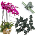 Garden Plant Small Claw Clip Support Vegetable Flower Tomato Vine Stalks Gardening Plastic Phalaenopsis Clamp