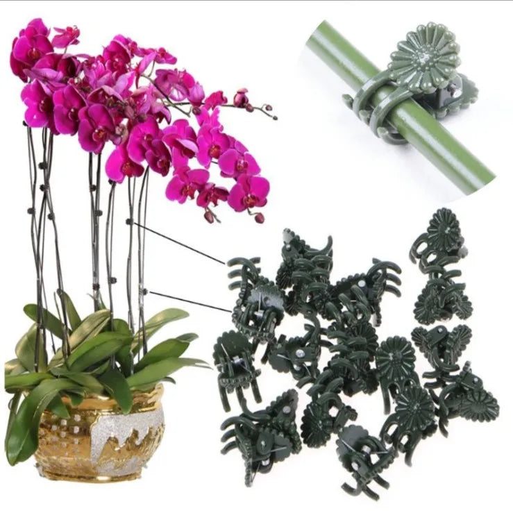 Garden Plant Small Claw Clip Support Vegetable Flower Tomato Vine Stalks Gardening Plastic Phalaenopsis Clamp
