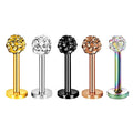 Crystal Tragus Helix Earring Stud Ferido Ball Labret Monroe Lip Ring Surgical Steel Cartilage Piercing Jewelry Women Men Wholes